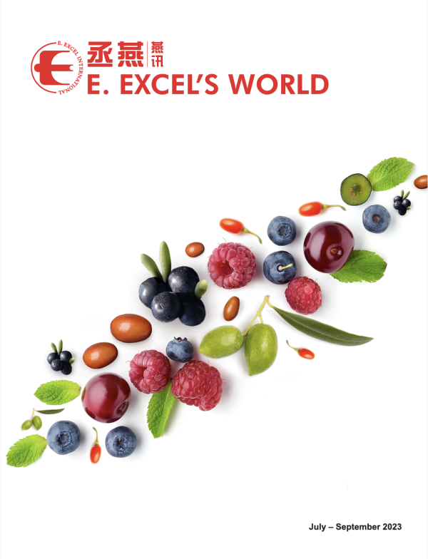 丞燕|燕訊 World Magazine-Tw - E. EXCEL