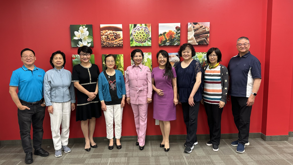 多倫多丞燕 多倫多丞燕