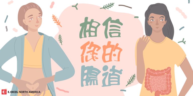 相信您的腸道
